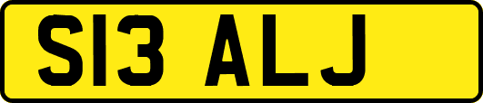 S13ALJ