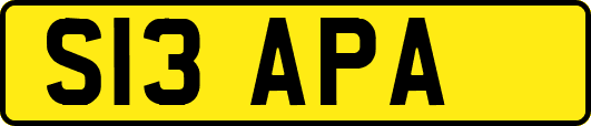 S13APA
