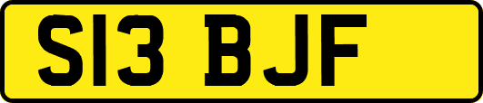 S13BJF