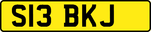S13BKJ