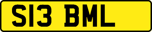 S13BML