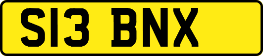 S13BNX
