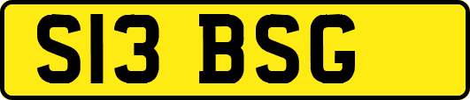 S13BSG