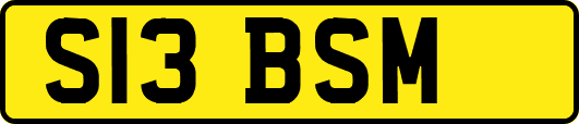 S13BSM