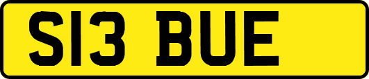 S13BUE