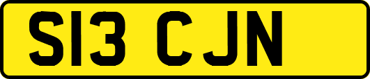 S13CJN