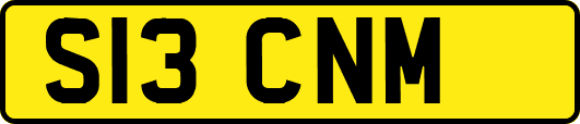 S13CNM