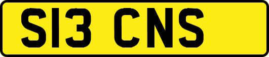 S13CNS