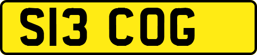 S13COG