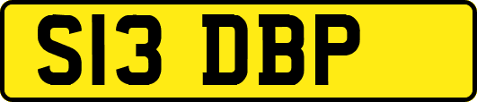 S13DBP