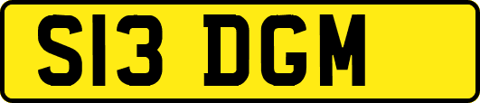 S13DGM