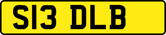 S13DLB