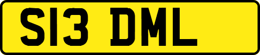 S13DML