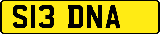 S13DNA