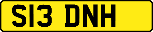 S13DNH