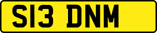 S13DNM