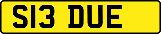 S13DUE