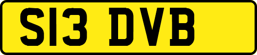 S13DVB