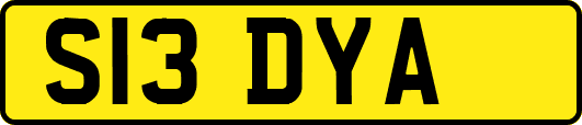 S13DYA
