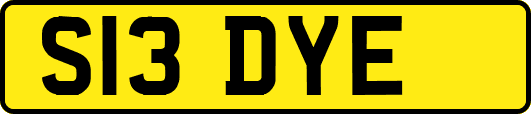 S13DYE