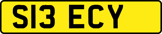 S13ECY