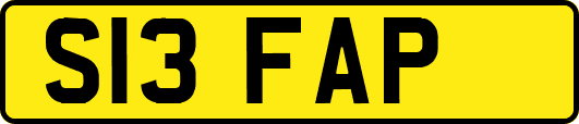 S13FAP