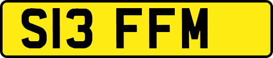 S13FFM