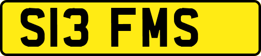 S13FMS
