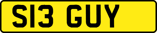 S13GUY