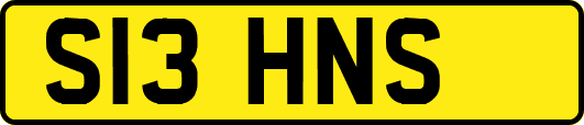 S13HNS