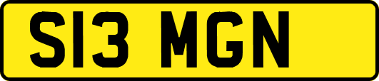 S13MGN