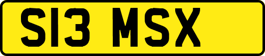 S13MSX