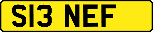 S13NEF