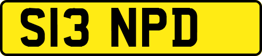 S13NPD
