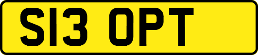 S13OPT