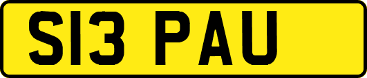 S13PAU