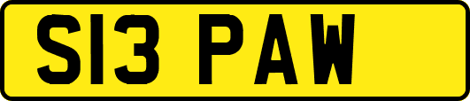 S13PAW