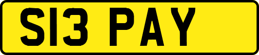 S13PAY