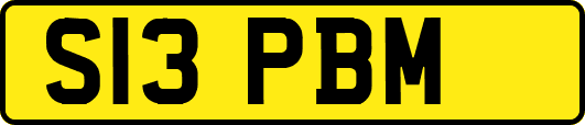 S13PBM