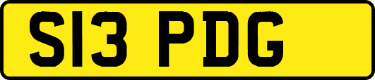 S13PDG