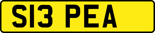 S13PEA