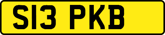 S13PKB
