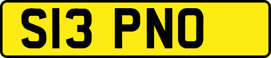 S13PNO