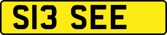 S13SEE