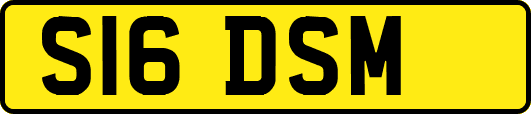 S16DSM