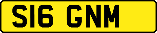 S16GNM