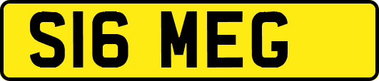 S16MEG