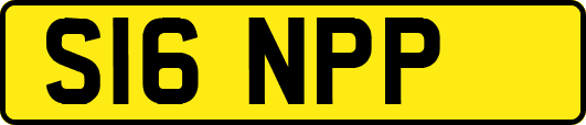 S16NPP