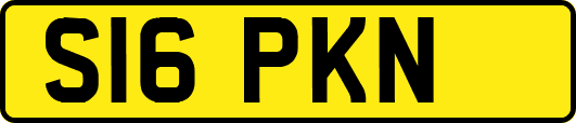 S16PKN