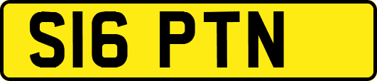 S16PTN
